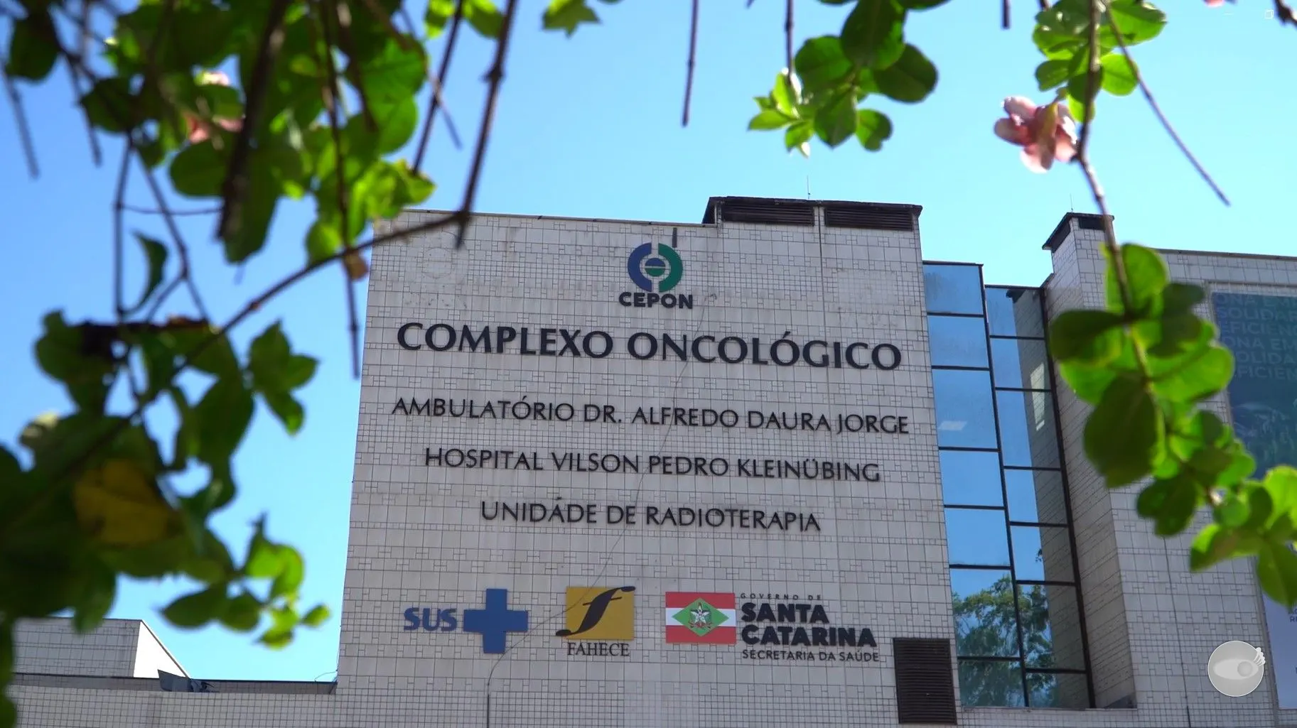 Cepon completa 52 anos com alta nos transplantes de medula óssea em SC