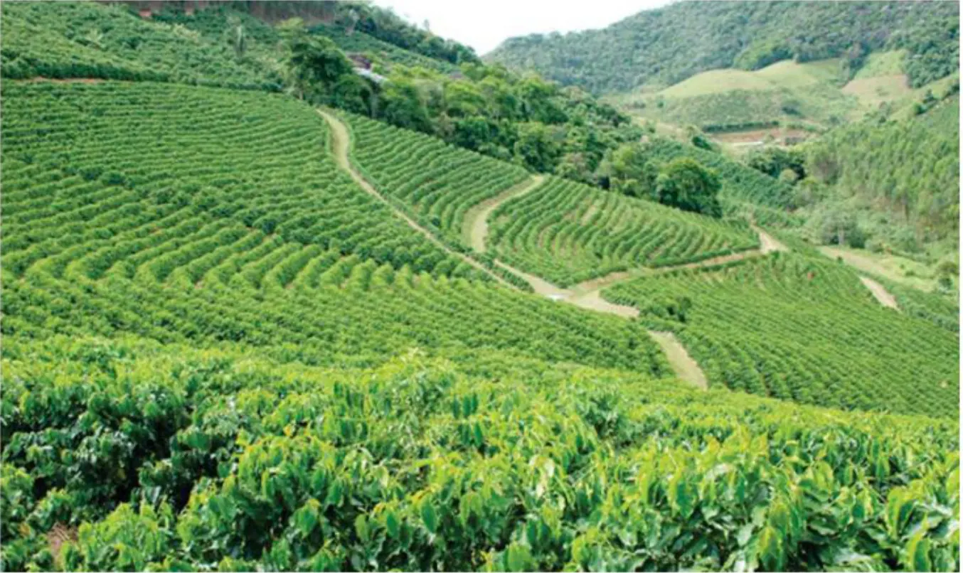 Prazo para inscrições no Cadastro Ambiental Rural termina no dia 5 de maio