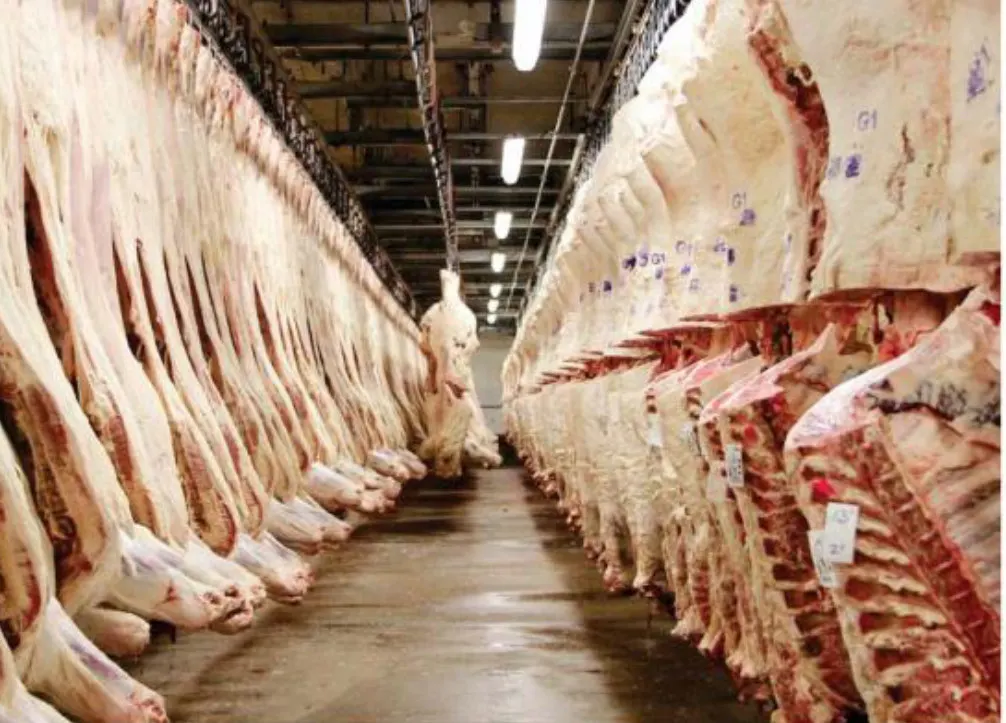 SC quer ampliar exportação de carnes para a China