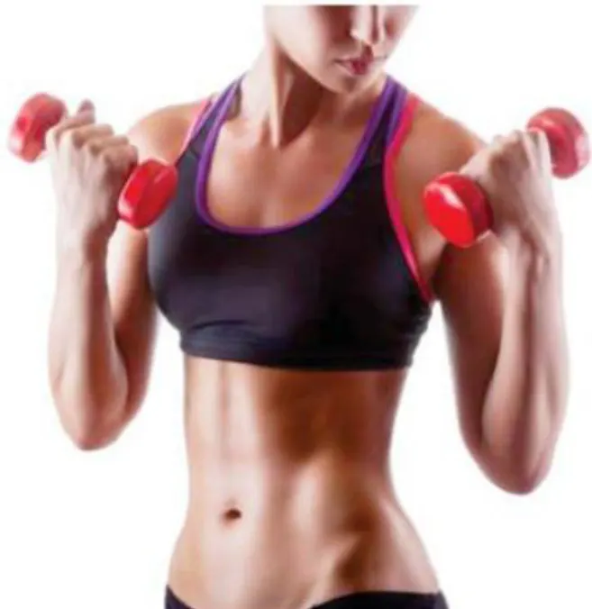 Musculação para as Mulheres