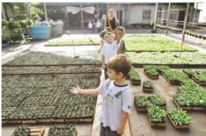 Alunos da educação infantil conhecem o "Berço" das Flores
