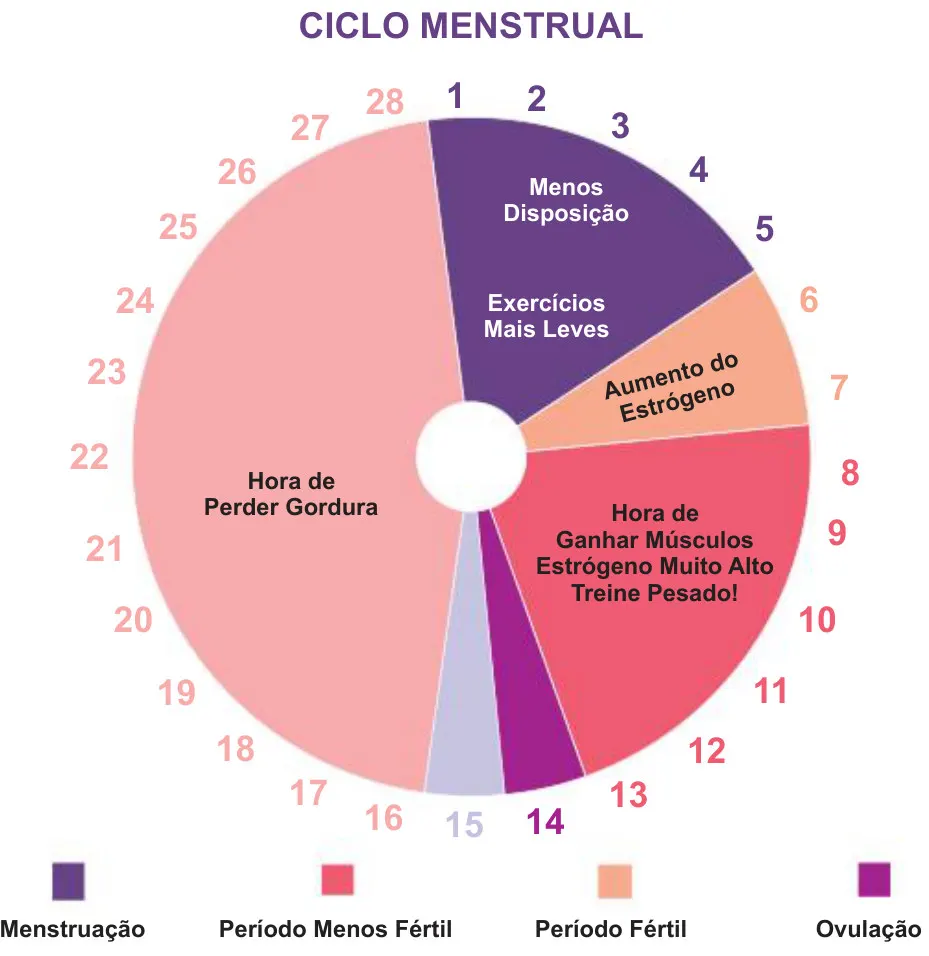 Ciclo Menstrual e Treino