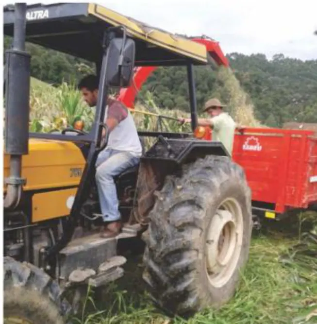 Secretaria Municipal de Agricultura e Meio Ambiente auxilia produtores e realiza distribuição de mudas de…