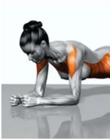 Abdominal “Prancha”