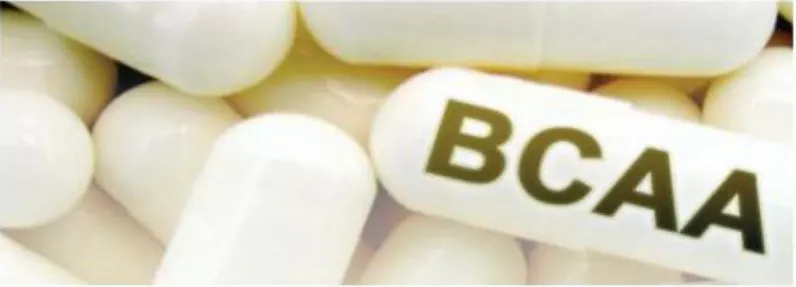 O que é, para que serve e como tomar o BCAA?