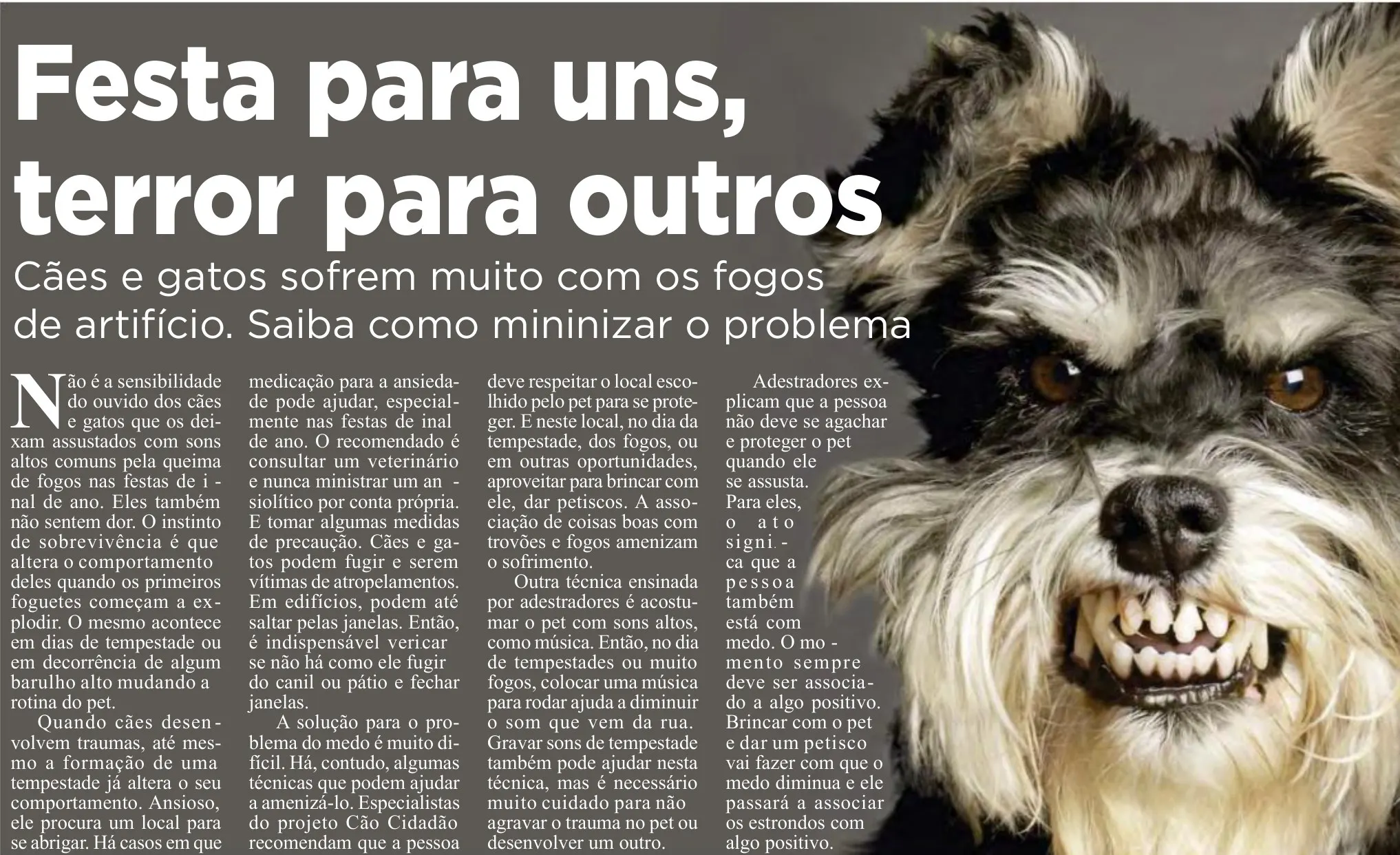 Festa para uns, terror para outros