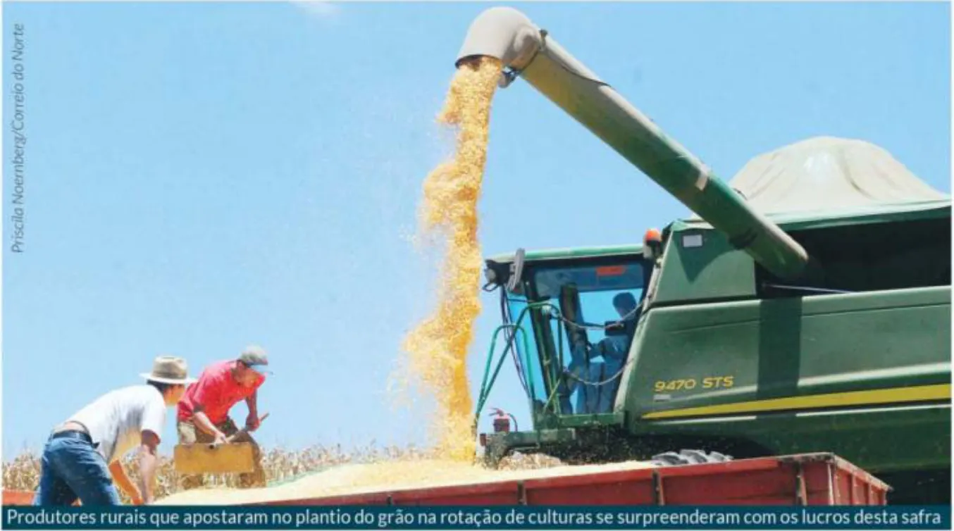 Consumidor pagará mais caro por carne de frango e de porco