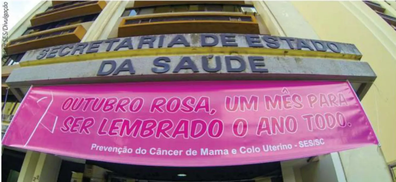 Muito mais do que prédios e monumentos cor-de-rosa