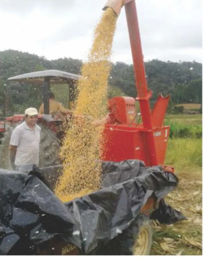 Secretaria de Agricultura e Meio Ambiente auxilia agricultores e informa término da Campanha de mudas…