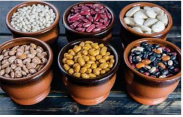 Conheça os alimentos que aumentam a qualidade de vida do diabético