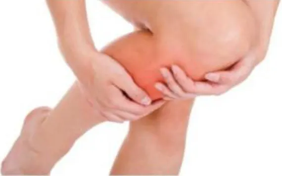 Treinamento e Dores Musculares