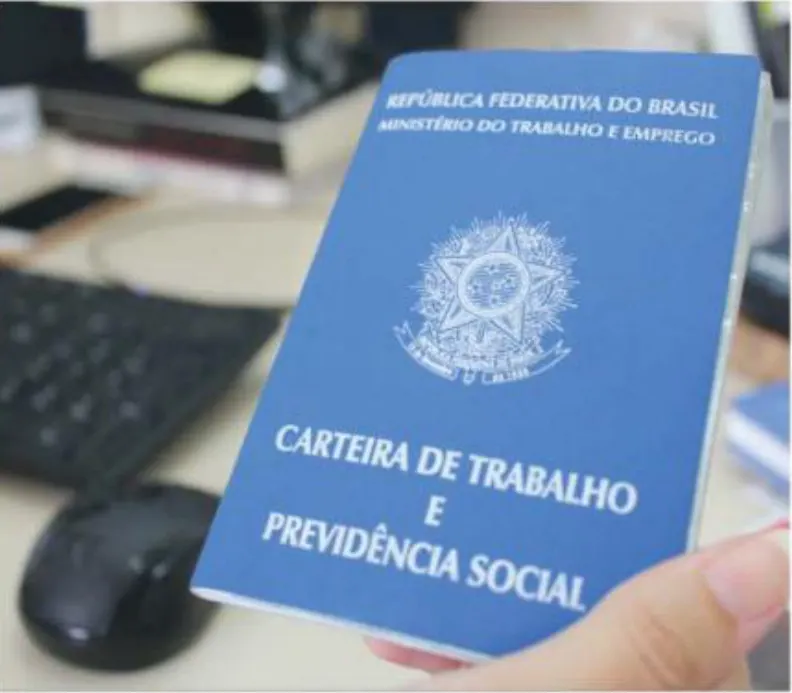 Em reação à crise, SC volta a gerar empregos