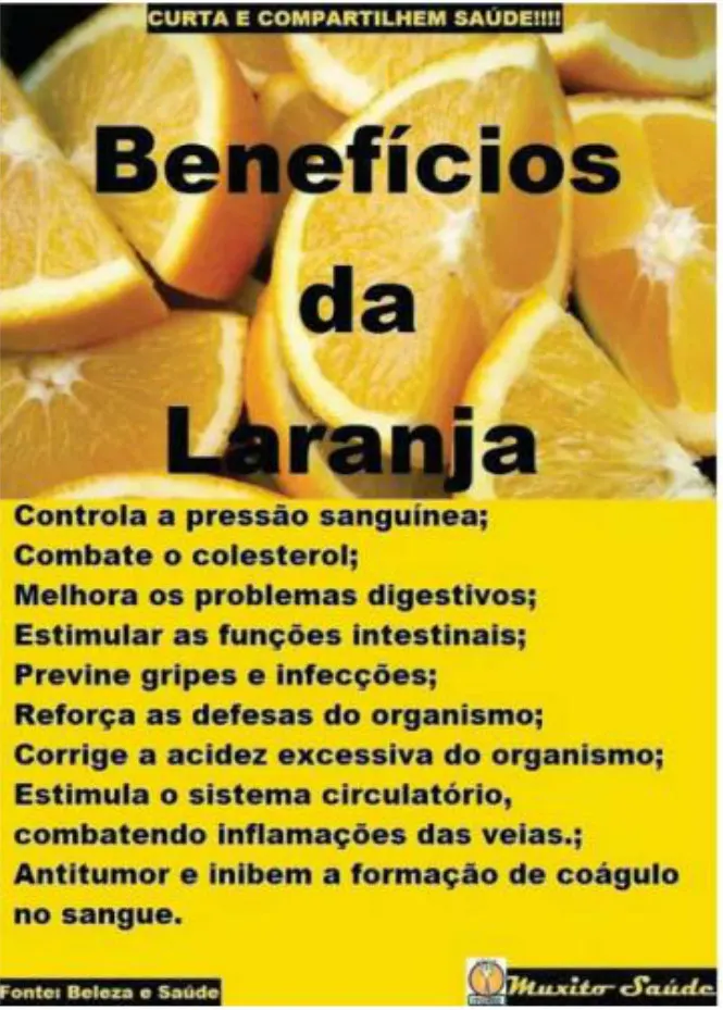 Saiba mais sobre a laranja e seus benefícios