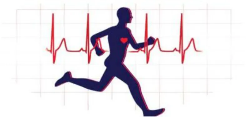 A importância dos exercícios cardiorrespiratório s mesmo para quem faz musculação