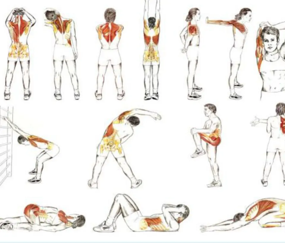Alongamentos específicos para antes da prática de exercícios e ou dores lombares