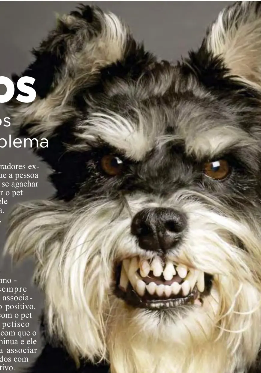 Festa para uns, terror para outros