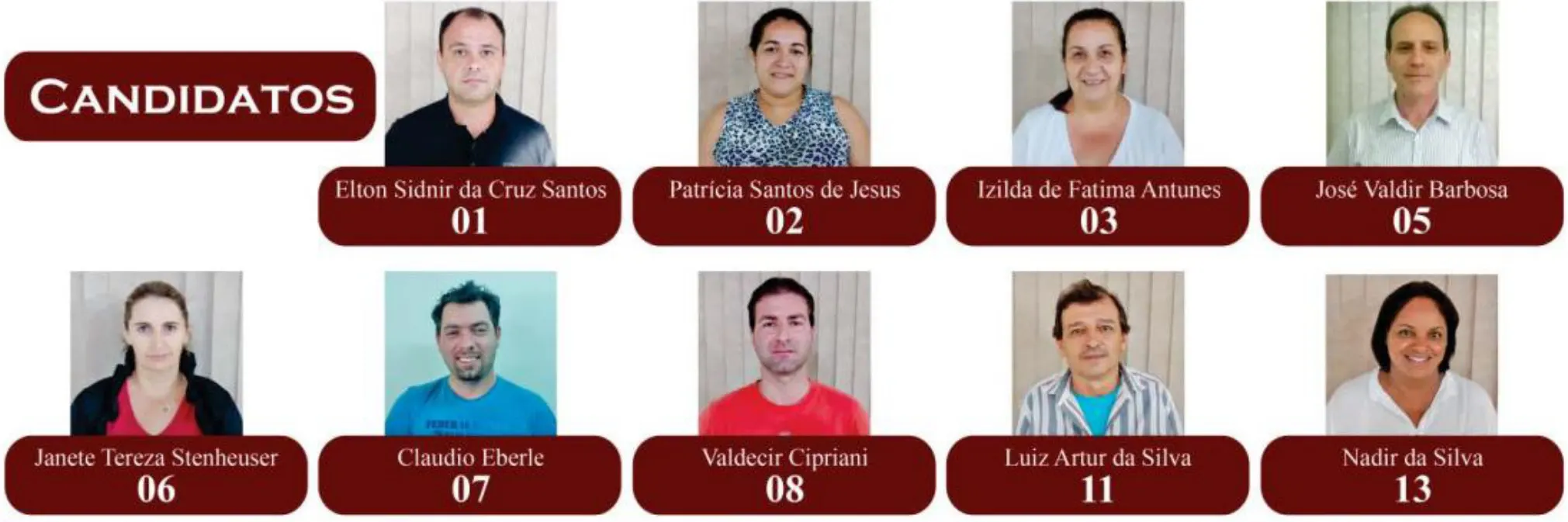 Eleições Municipais para Conselheiros