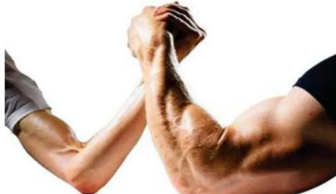Catabolismo Muscular x Anabolismo Muscular