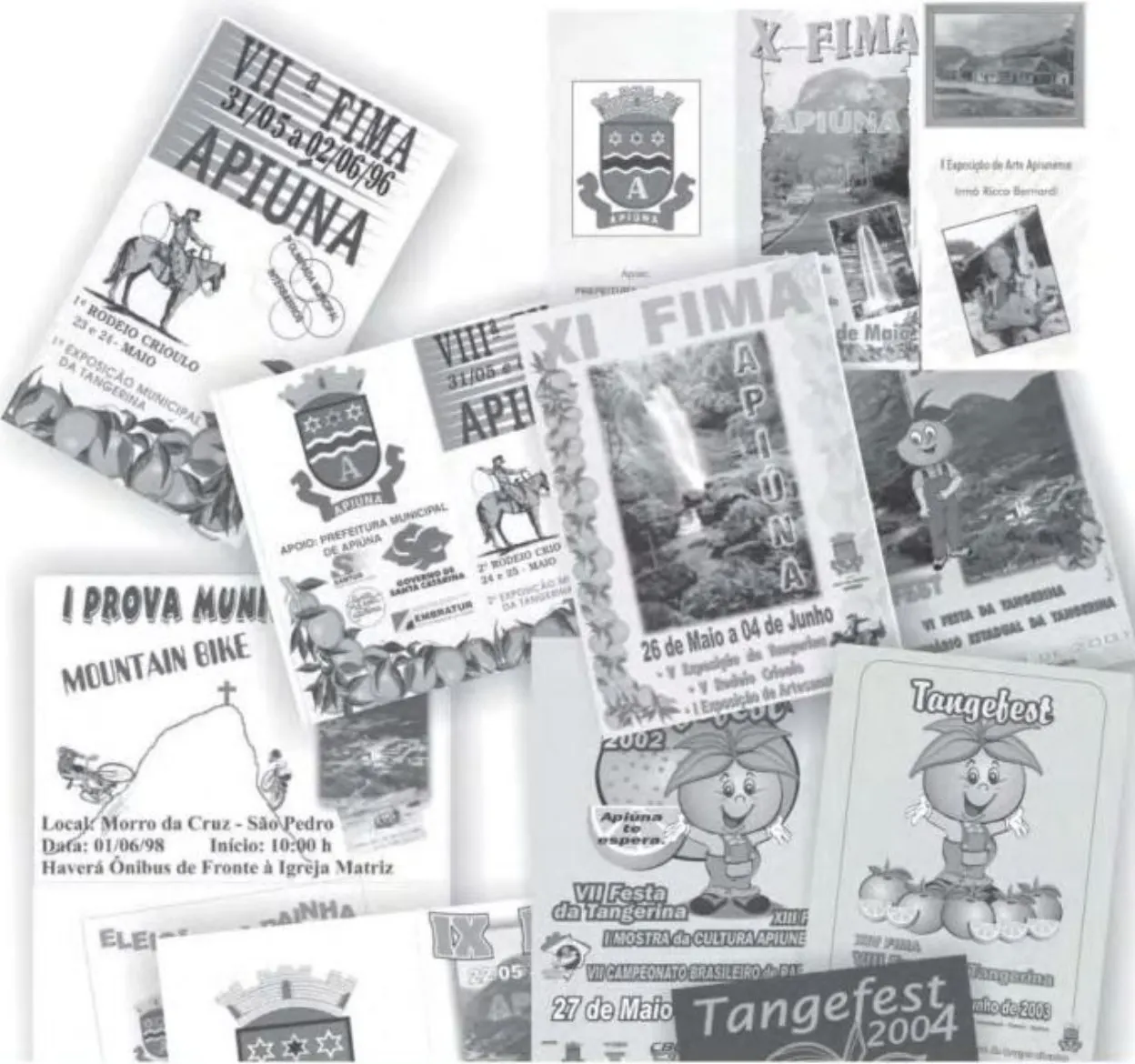 História da Festa da Tangerina