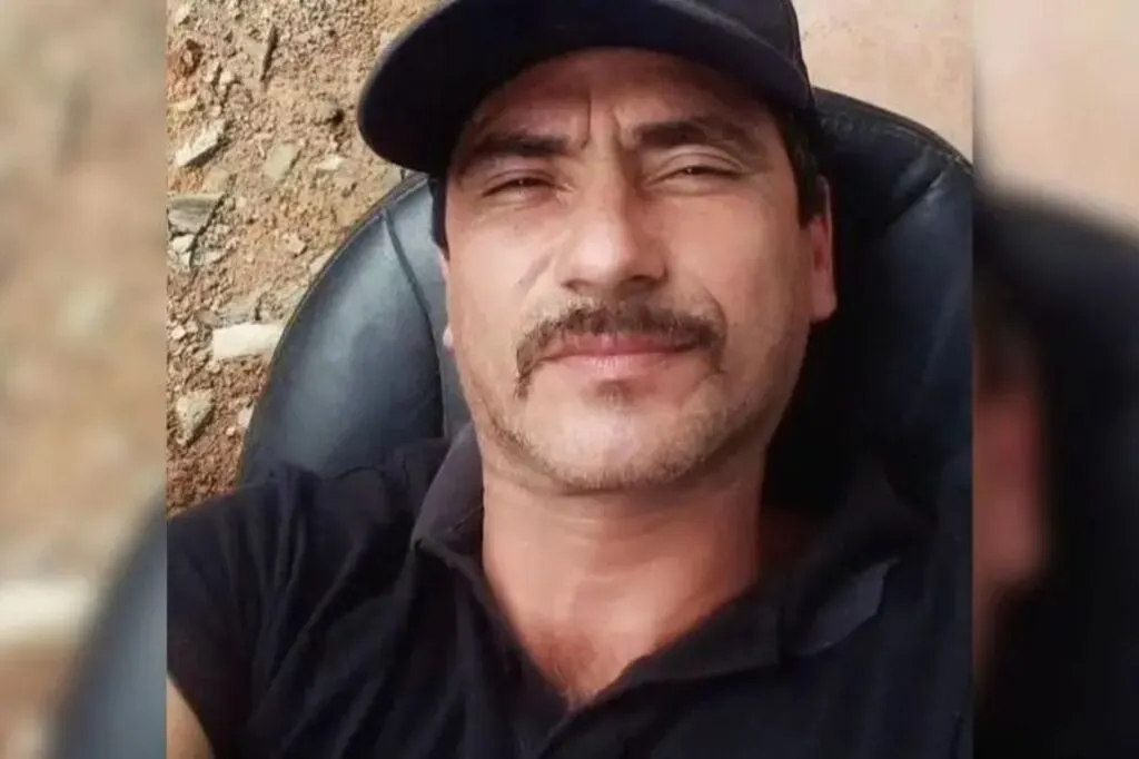 Leoa Leona está saudável e sob cuidados após ataque fatal a invasor no Parque da Bica