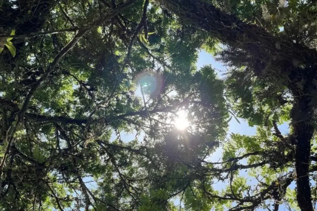 Temporais em Santa Catarina marcam a última semana do verão