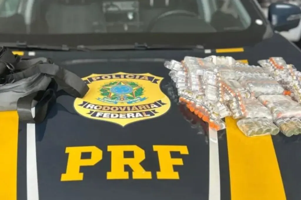 Fiscalização na BR-101 apreende remédios para emagrecer e anabolizantes contrabandeados do Paraguai