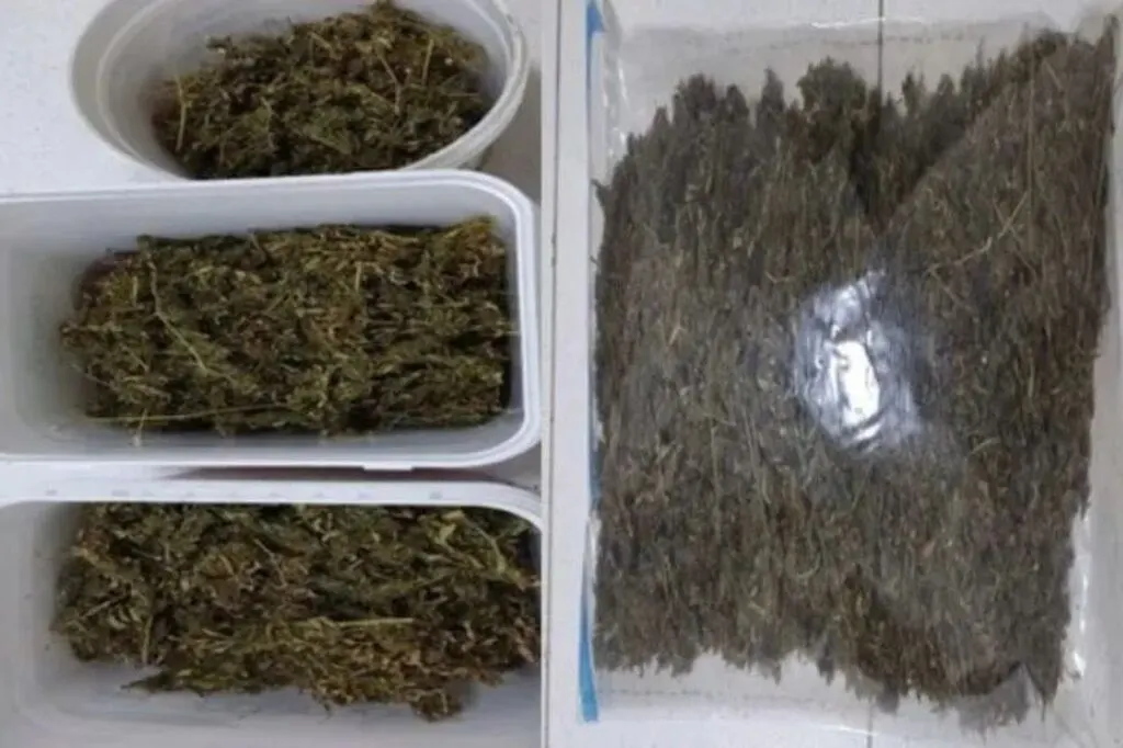 PM apreende mais de 500g de maconha em abordagem em Indaial