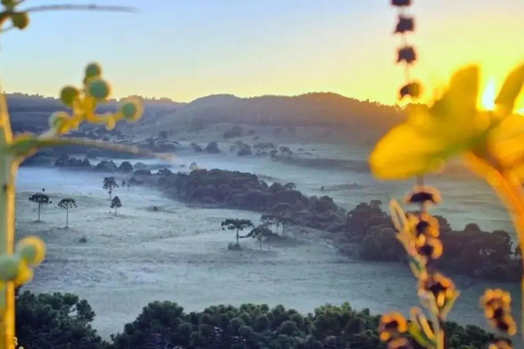 Geada e 1,5°C marcam Serra de SC a 4 dias do verão