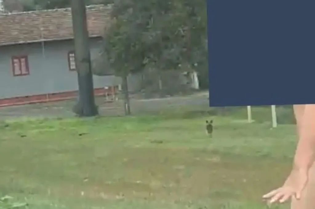 Paciente em surto foge de hospital e é localizada na BR-470