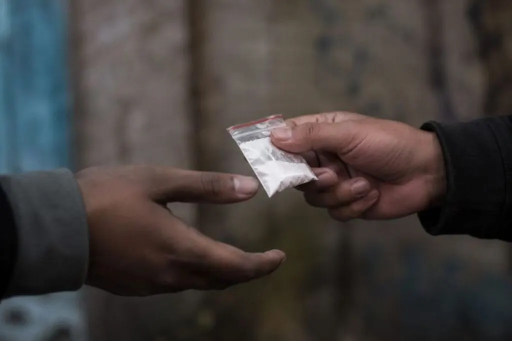 Investigação revela esquema de compra de votos com cocaína em Timbé do Sul