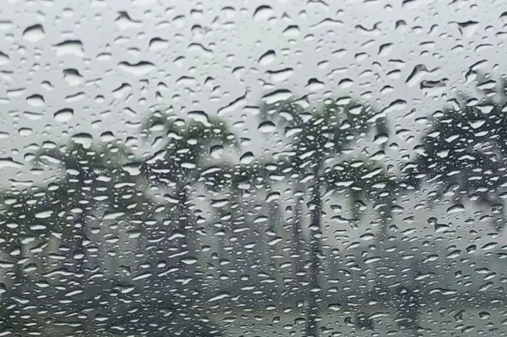 Ciclone extratropical deve trazer chuva intensa e ventos fortes a Santa Catarina