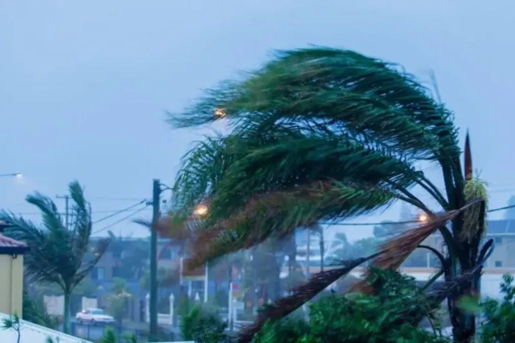 Urupema, cidade mais fria do Brasil, enfrenta ventos de 75 km/h causado por ciclone