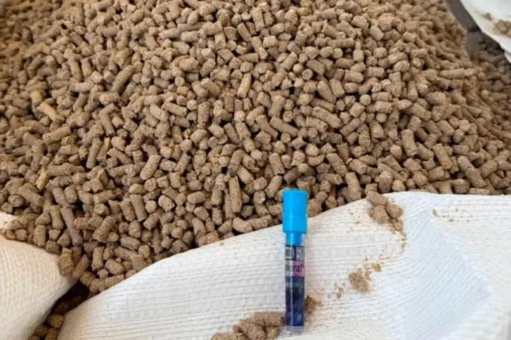 Receita Federal apreende mais de uma tonelada de cocaína no Porto de Itapoá